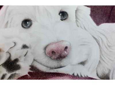 man's best friend drawing drawing of dog